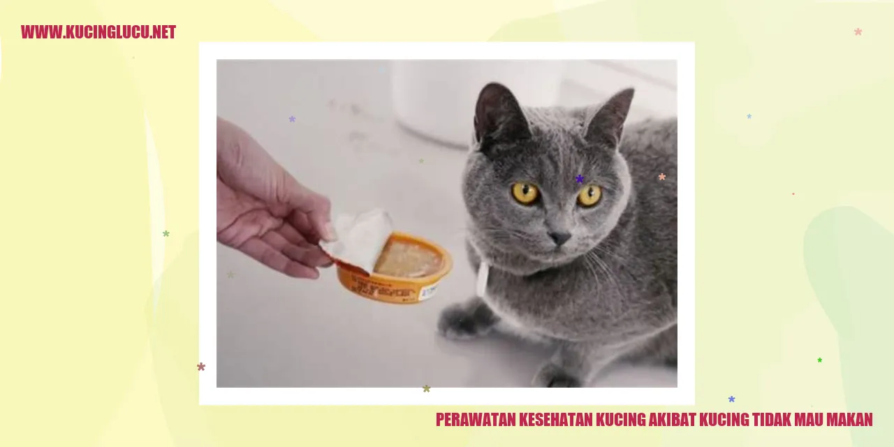 Perawatan kesehatan kucing