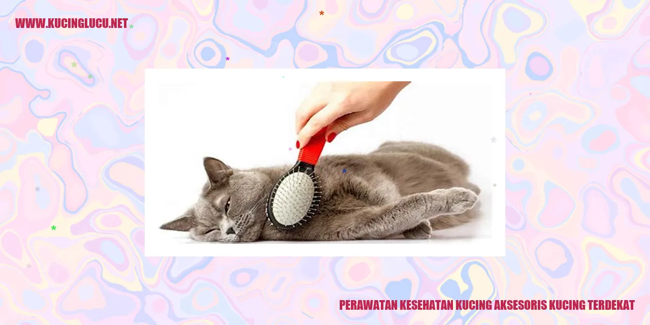 Perawatan Kesehatan Kucing dan Aksesoris Kucing Terdekat