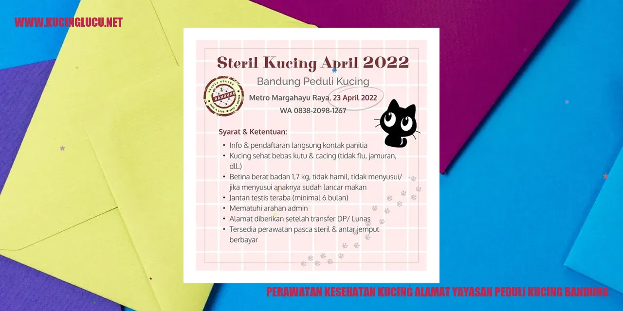 Perawatan Kesehatan Kucing