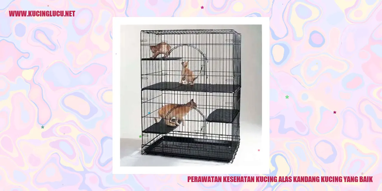 Gambar Kucing