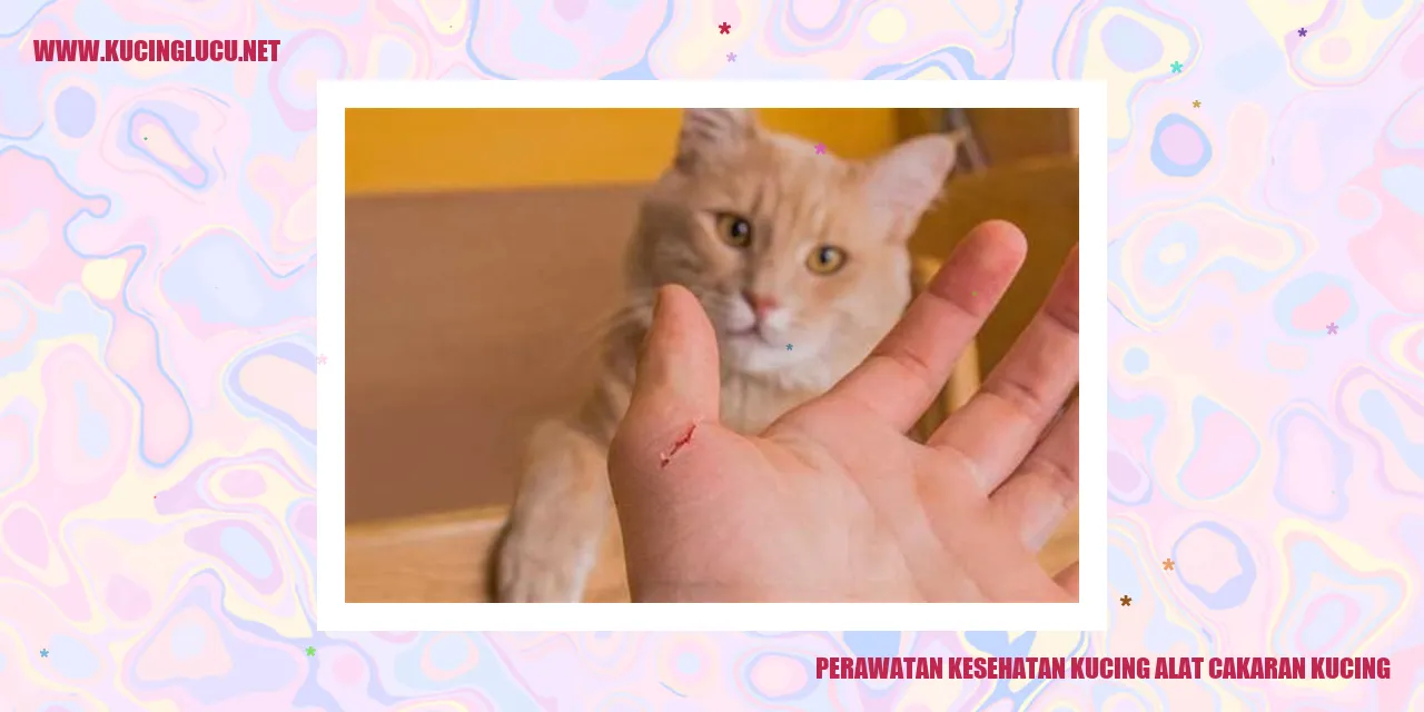 Kucing dengan alat cakaran