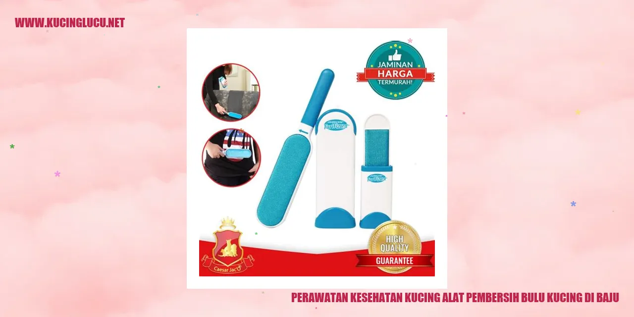 Perawatan Kesehatan Kucing