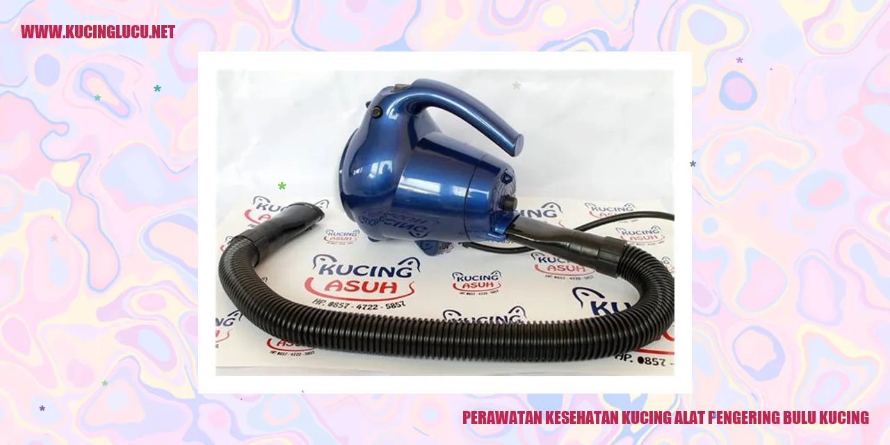 Perawatan Kesehatan Kucing alat pengering bulu kucing