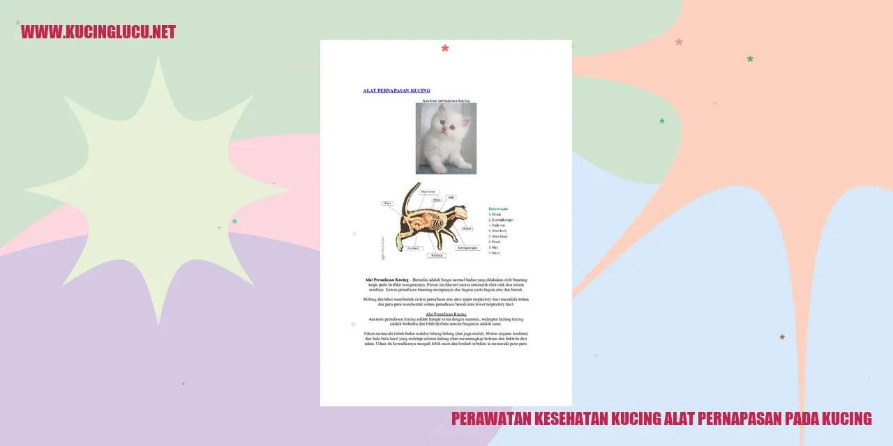 Gambar Kucing