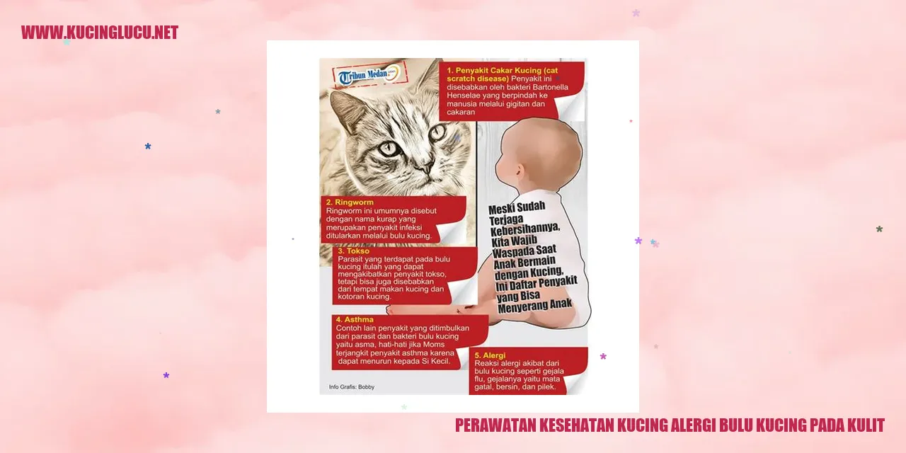 Perawatan Kesehatan Kucing alergi bulu kucing pada kulit
