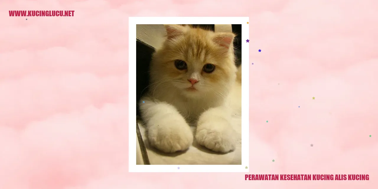 Perawatan Kesehatan Kucing