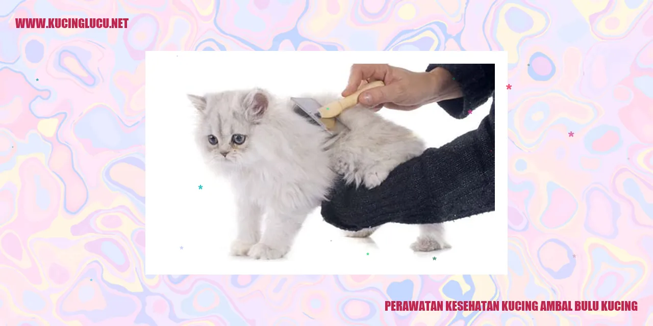 Perawatan Kucing Ambal Bulu Kucing