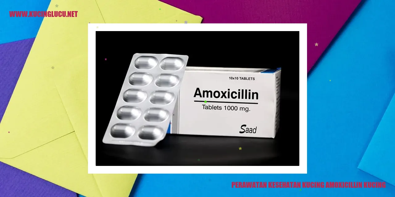 Gambar Kucing Sehat Amoxicillin