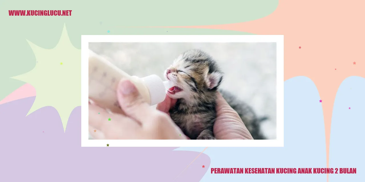Kucing Anak Kucing