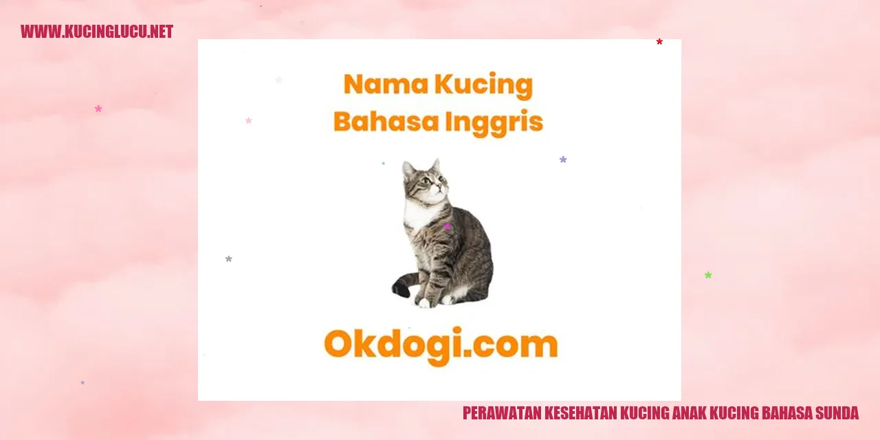 Perawatan Kesehatan Kucing Anak Kucing Bahasa Sunda