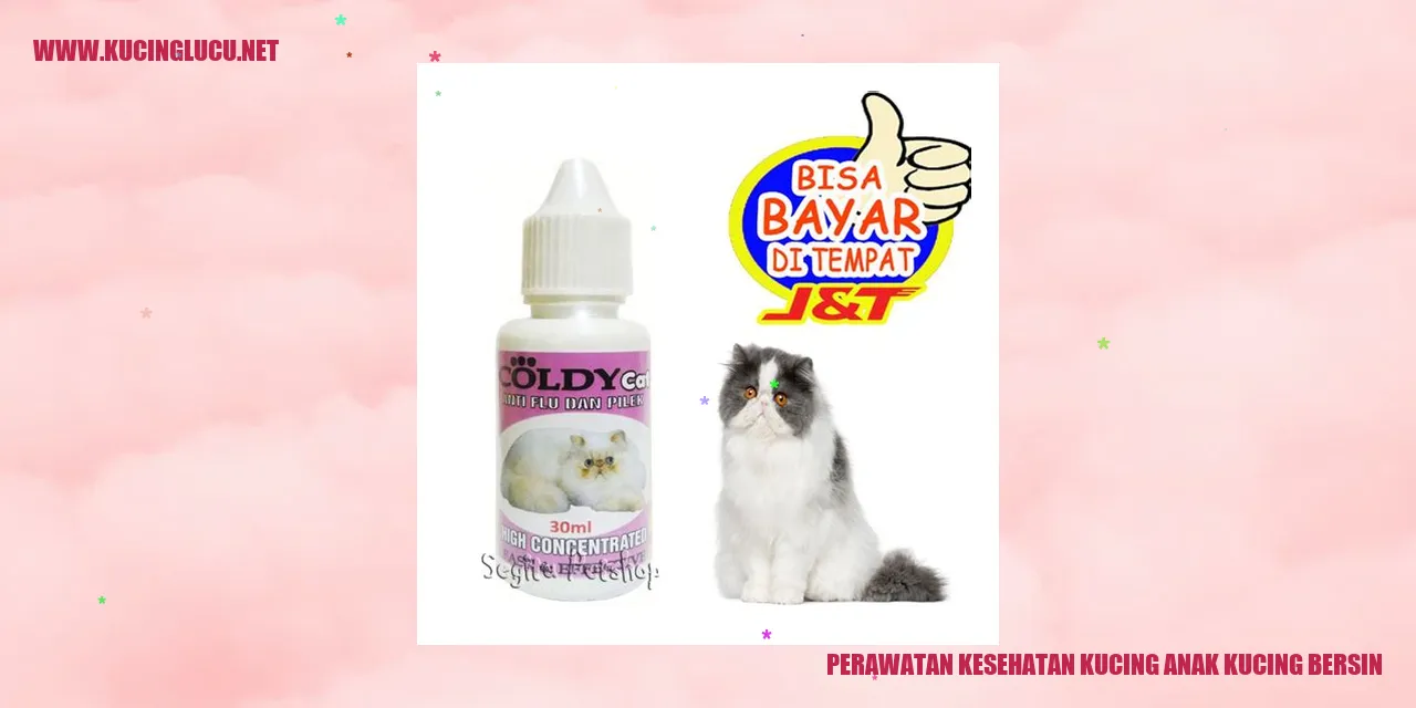 Gambar anak kucing bersin
