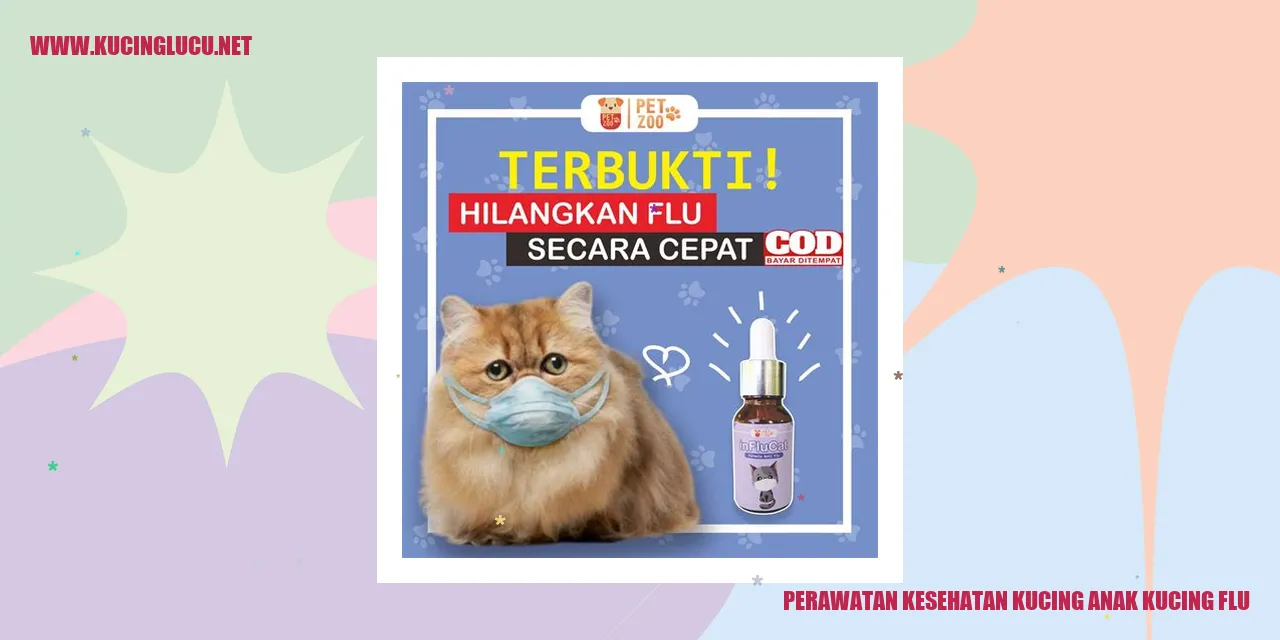 Ilustrasi perawatan kucing anak dengan flu