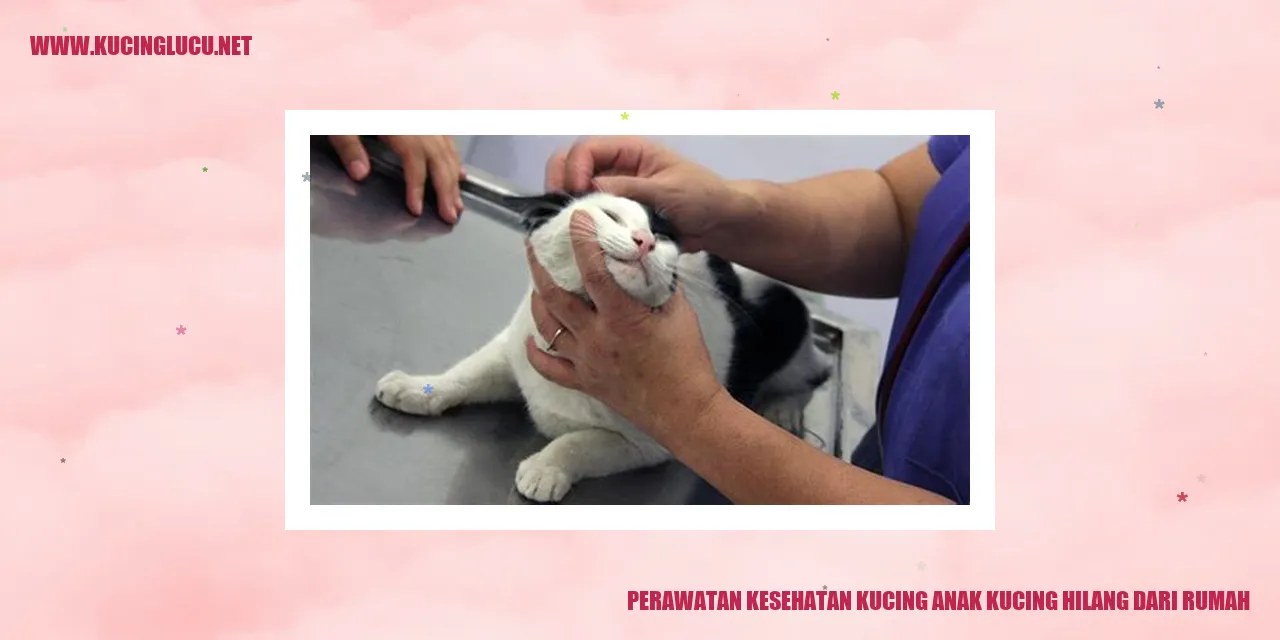 Perawatan Kesehatan Kucing