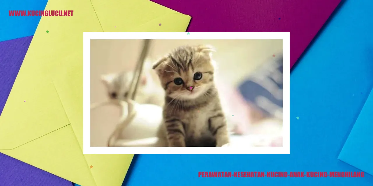 Perawatan Kesehatan Kucing