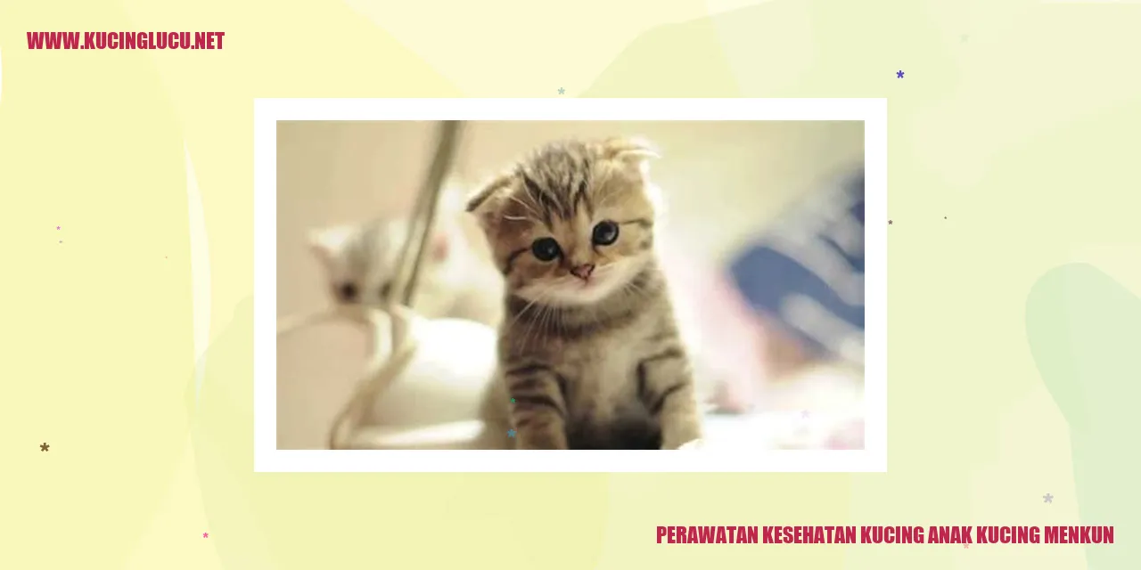 Perawatan Kesehatan Kucing Anak Kucing Menkun