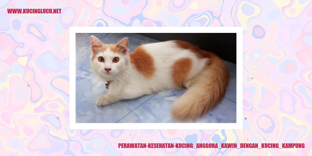 Perawatan Kesehatan Kucing