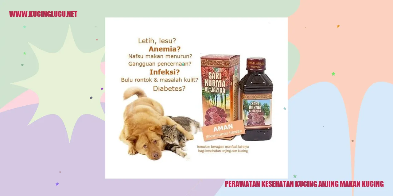 Perawatan Kesehatan Kucing