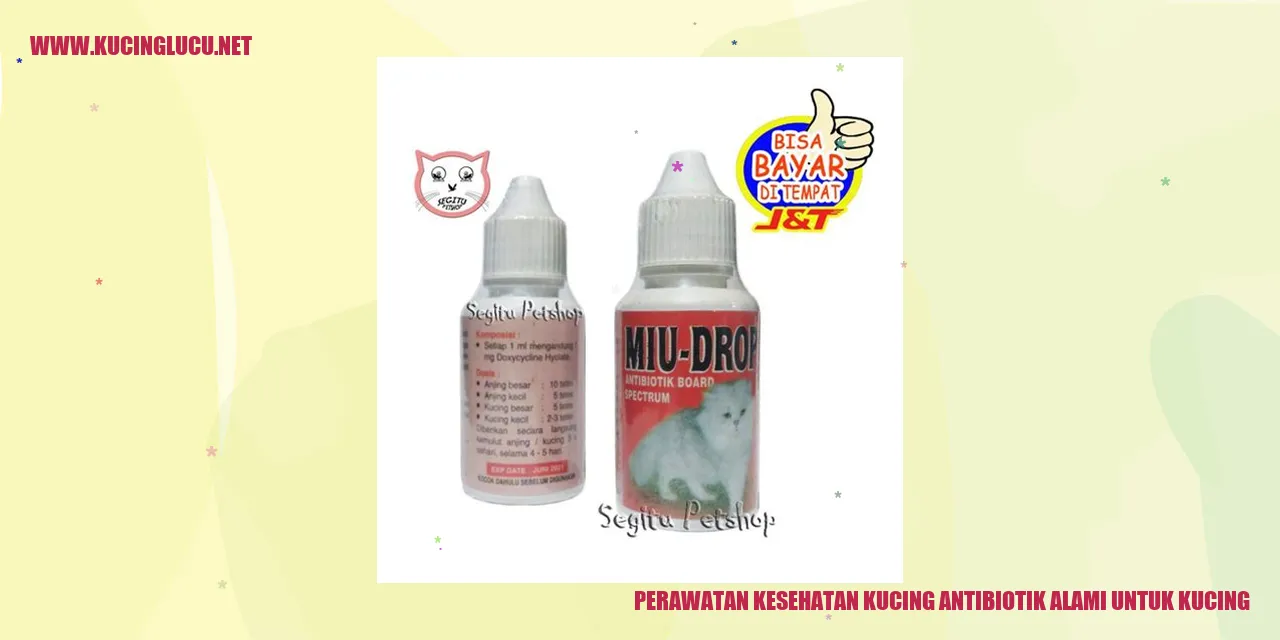 Perawatan Kesehatan Kucing
