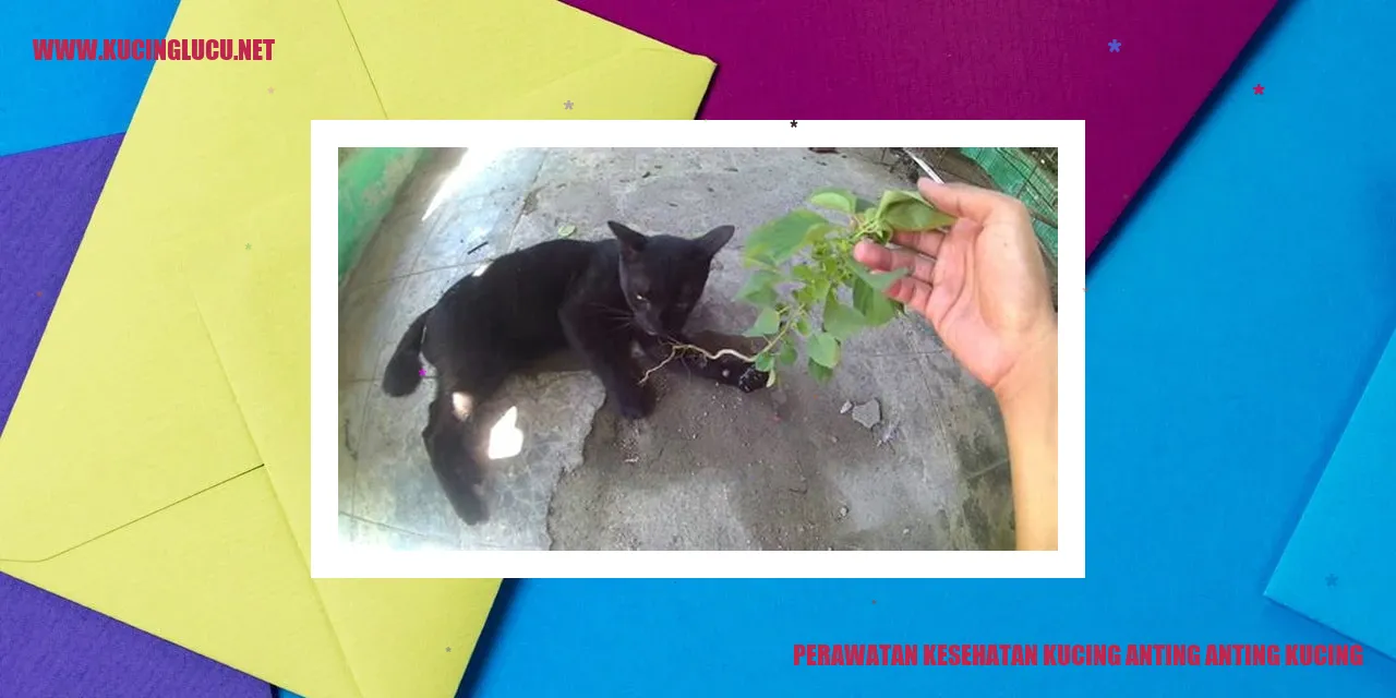 Gambar Kucing Anting-Anting