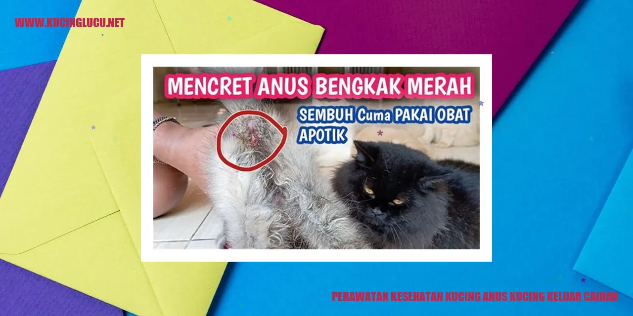 Perawatan Kesehatan Kucing anus kucing keluar cairan