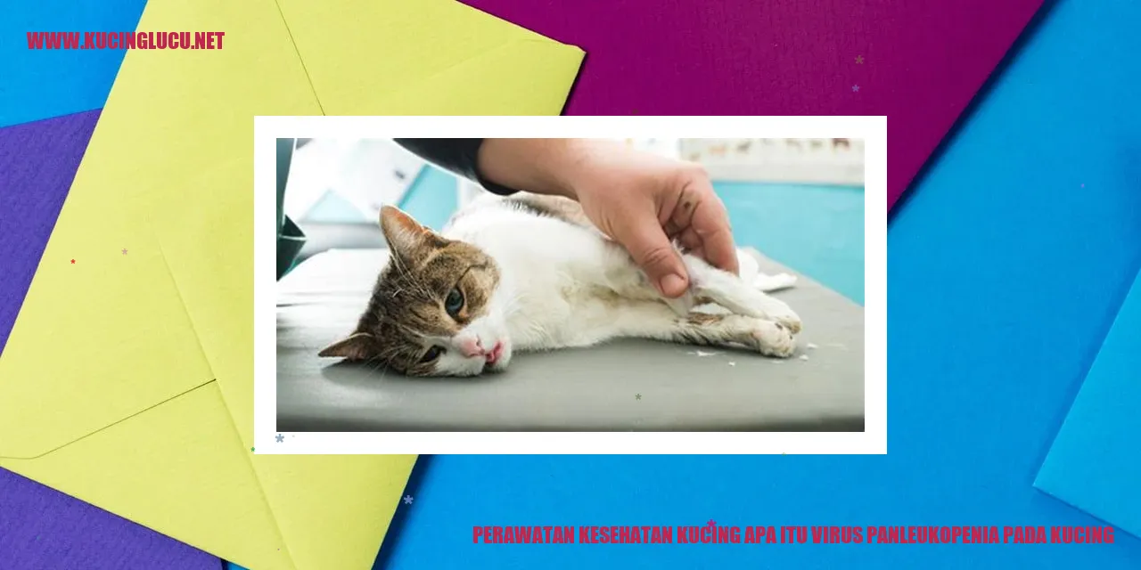 Gambar Perawatan Kesehatan Kucing