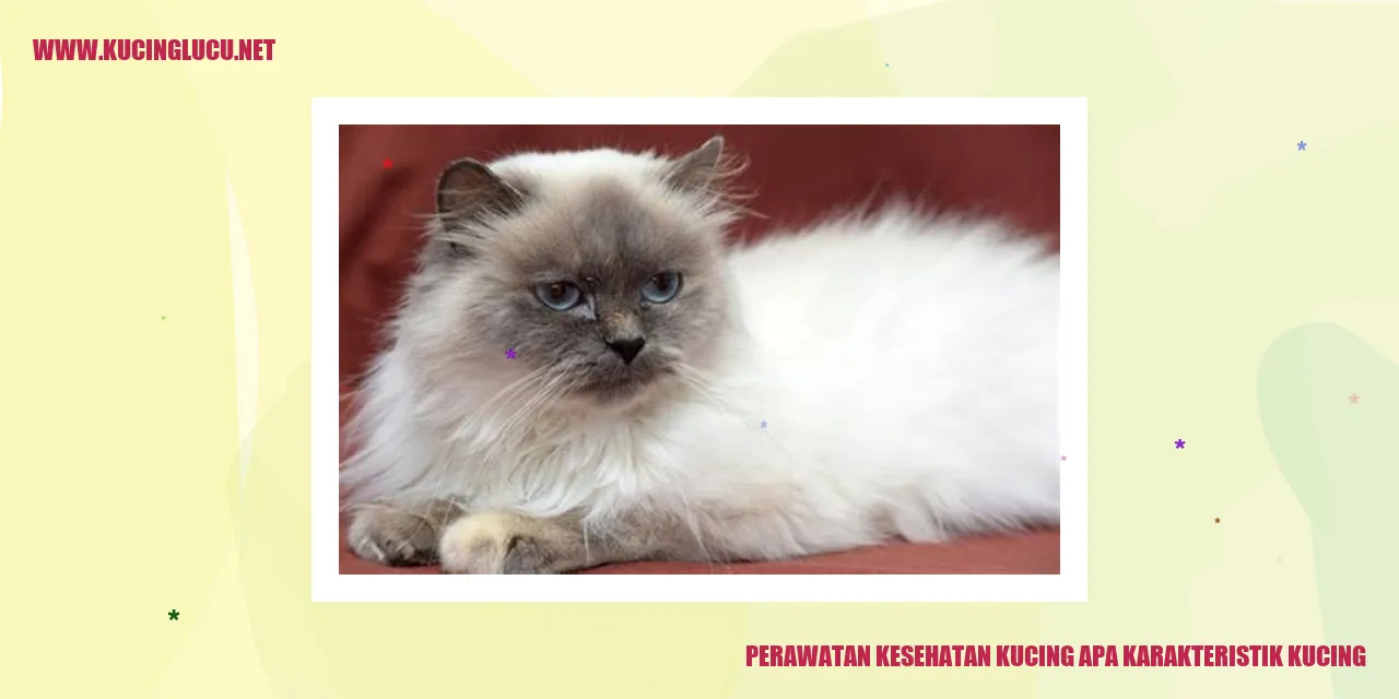 Perawatan Kesehatan Kucing