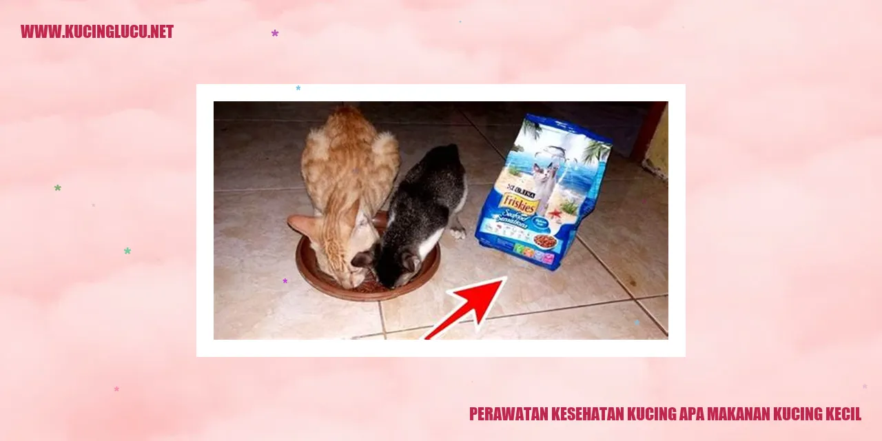 Perawatan Kesehatan Kucing dan Makanan Kucing Kecil