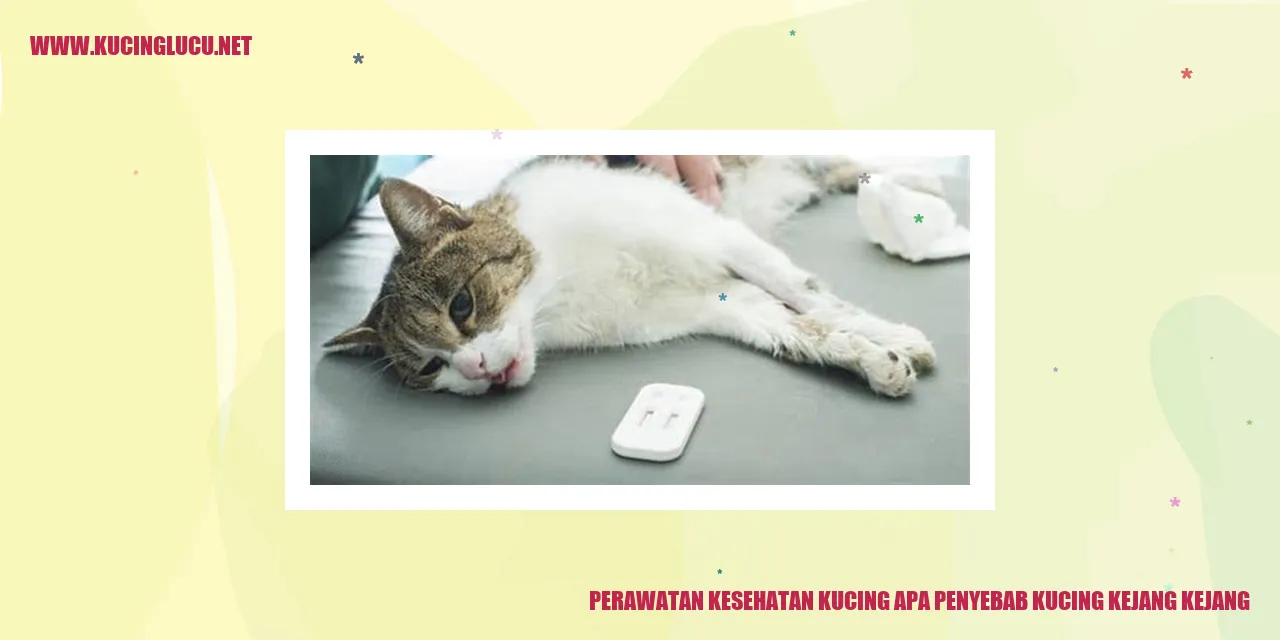 Gambar Kucing