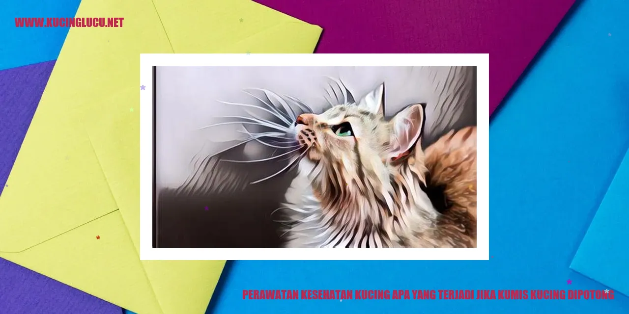 Perawatan Kesehatan Kucing apa yang terjadi jika kumis kucing dipotong