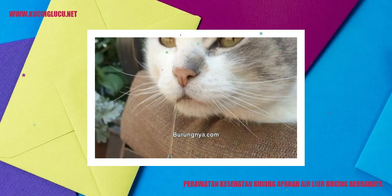 Perawatan Kesehatan Kucing