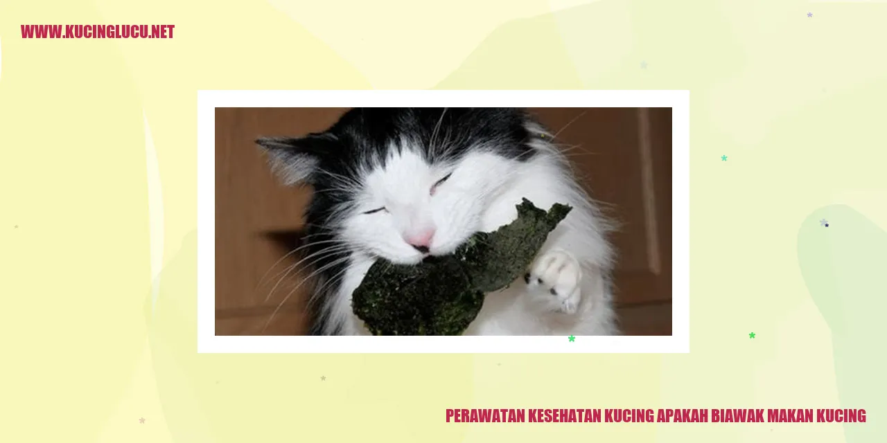 Perawatan Kesehatan Kucing