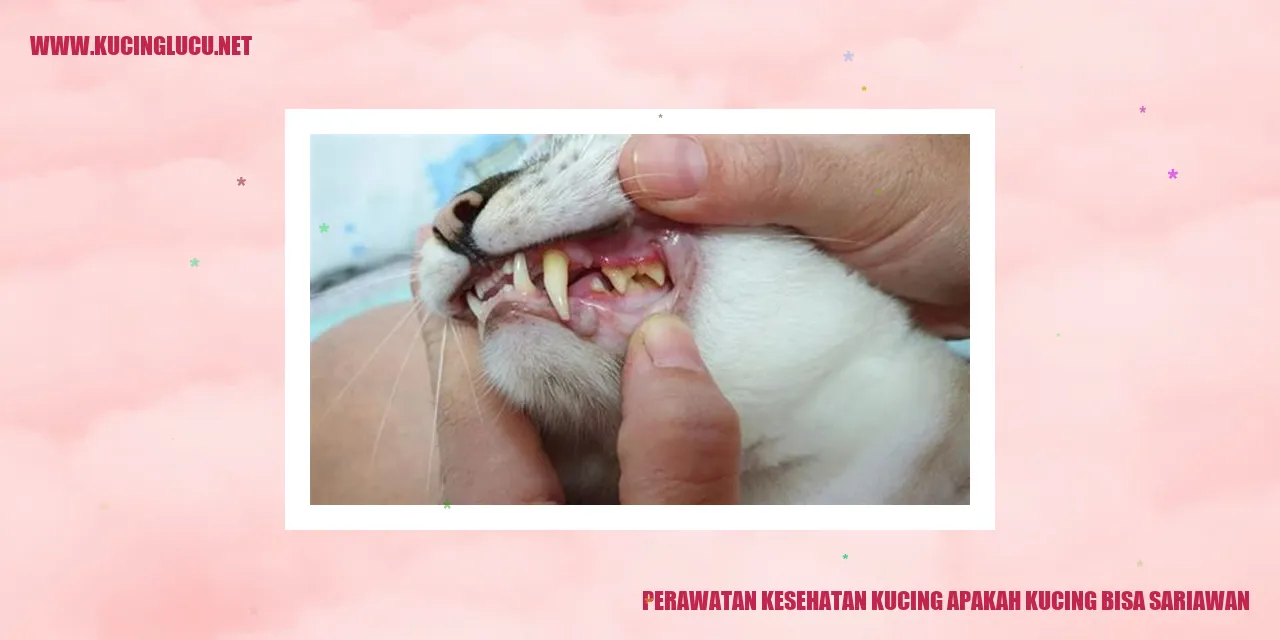 Gambar Kucing