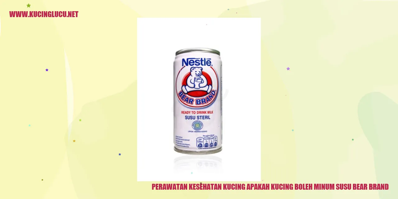 Perawatan Kesehatan Kucing apakah kucing boleh minum susu bear brand