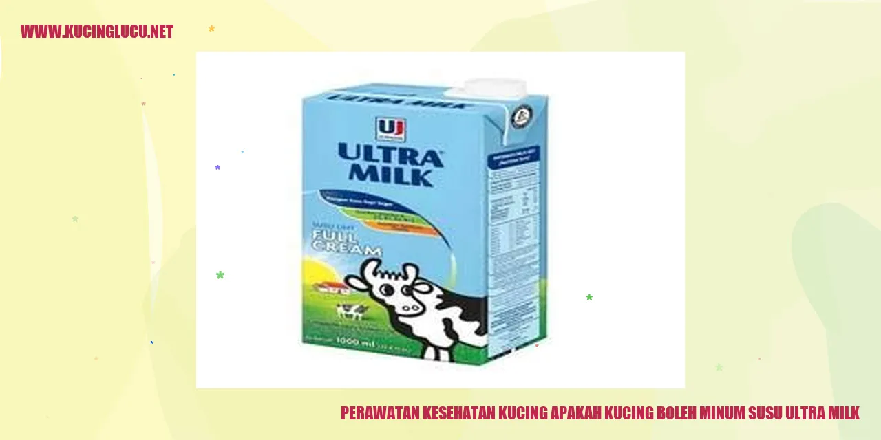 Perawatan Kesehatan Kucing: Dapatkah Kucing Minum Susu Ultra Milk