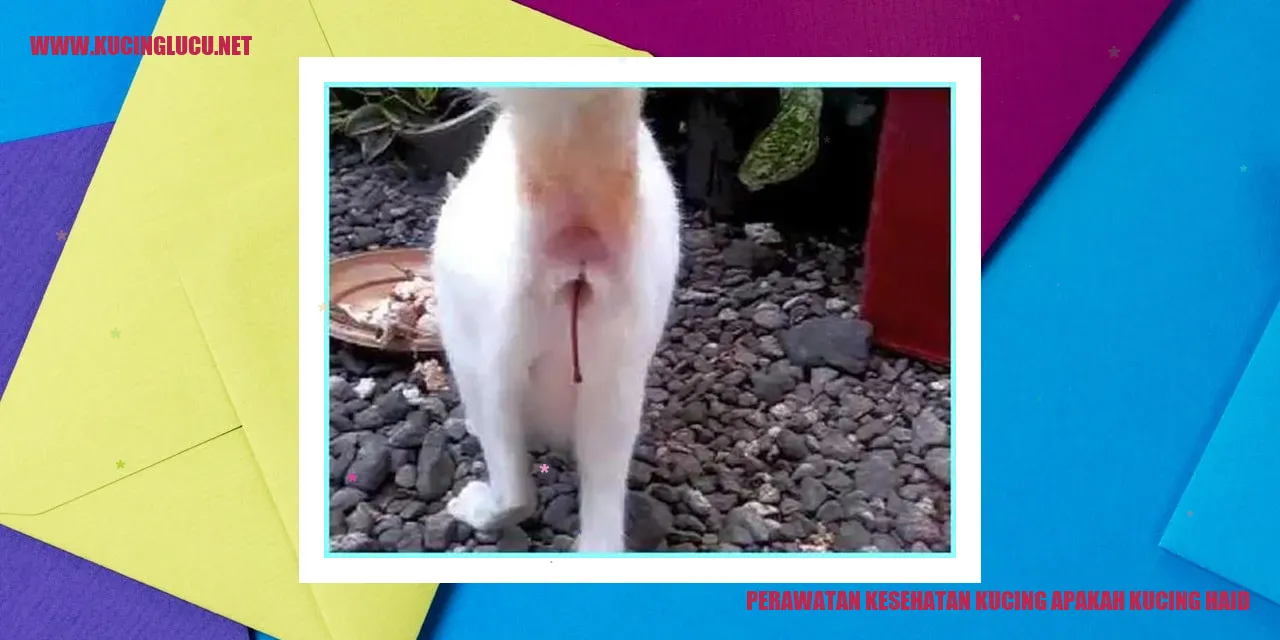 perawatan kesehatan kucing