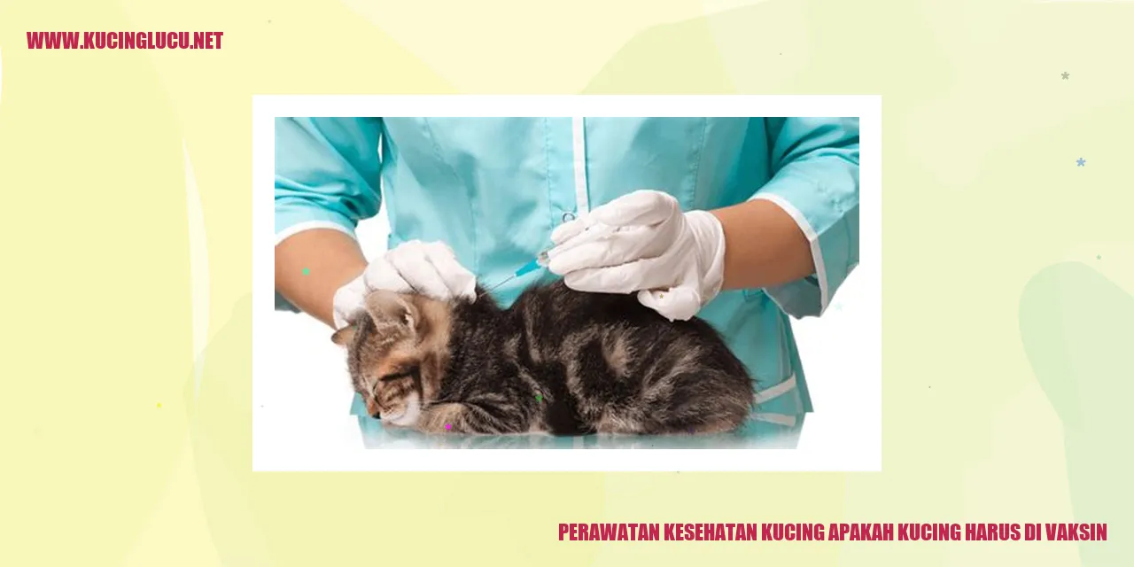 Perawatan Kesehatan Kucing