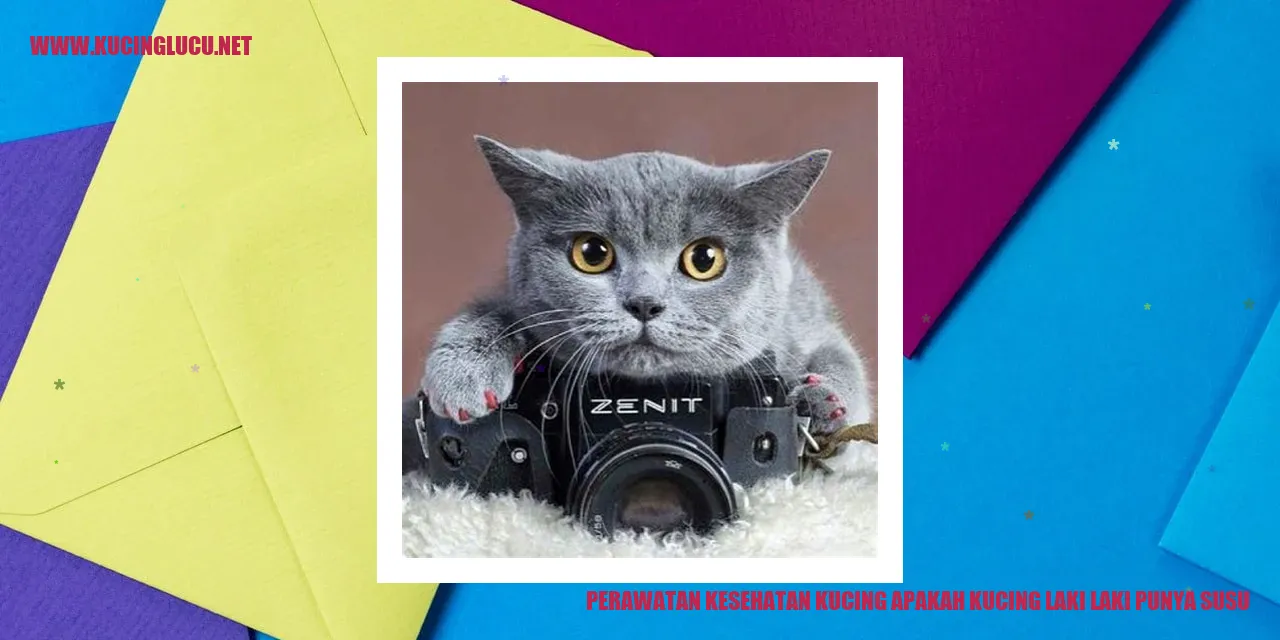 Perawatan Kesehatan Kucing