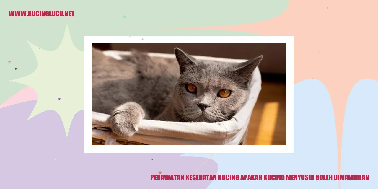 Gambar Kucing