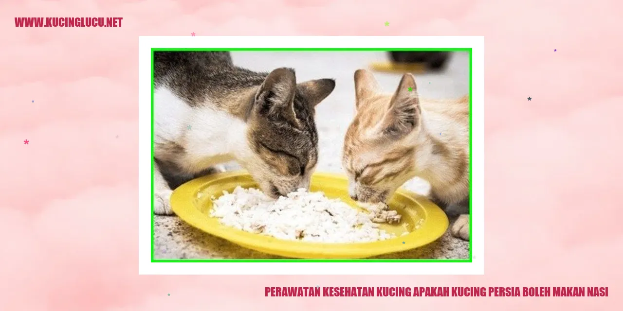 Perawatan Kesehatan Kucing