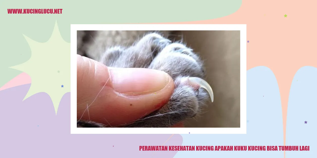 Perawatan Kesehatan Kucing