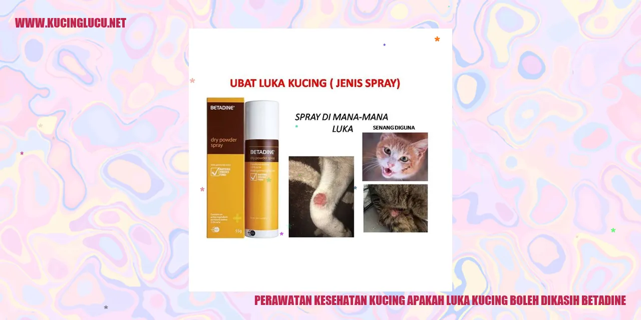Perawatan Kesehatan Kucing