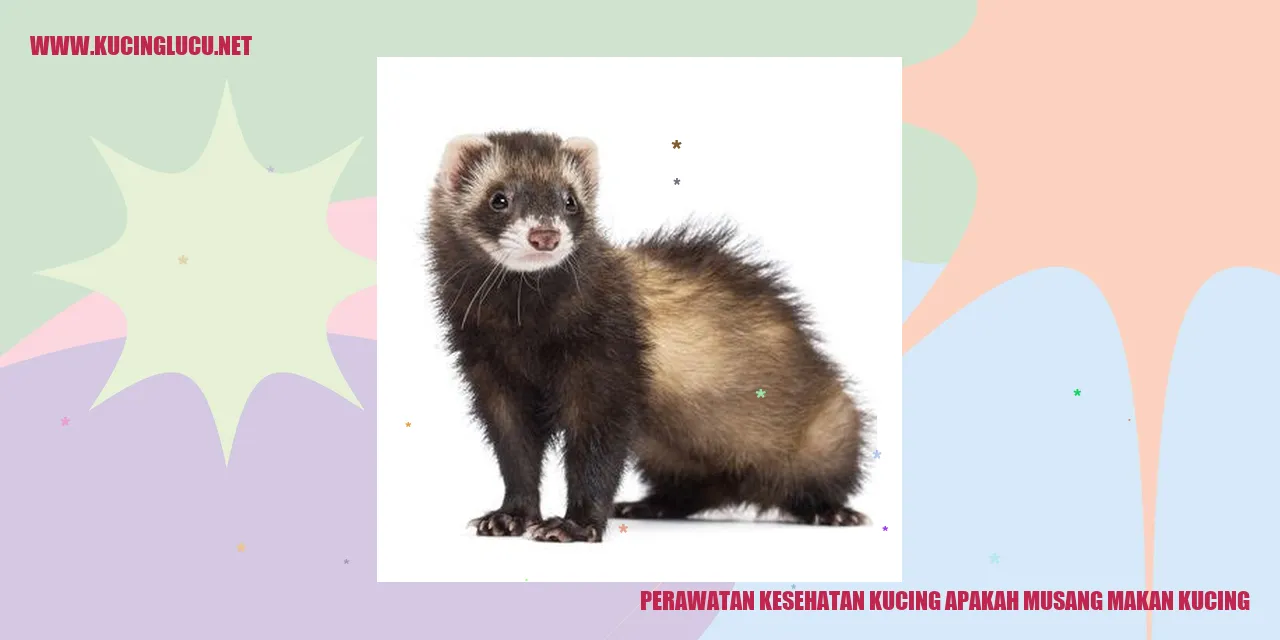 Perawatan Kesehatan Kucing
