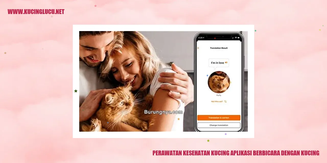 Perawatan Kesehatan Kucing