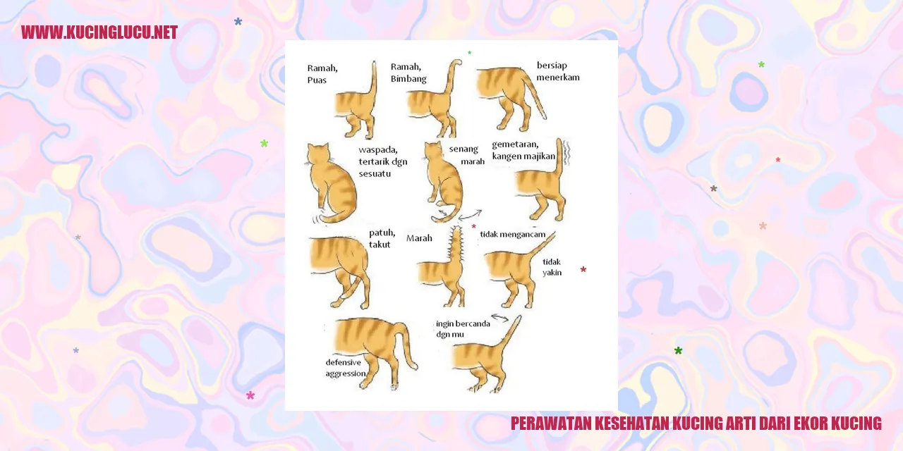 Perawatan Kesehatan Kucing