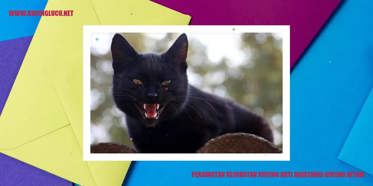 Perawatan Kesehatan Kucing arti didatangi kucing hitam
