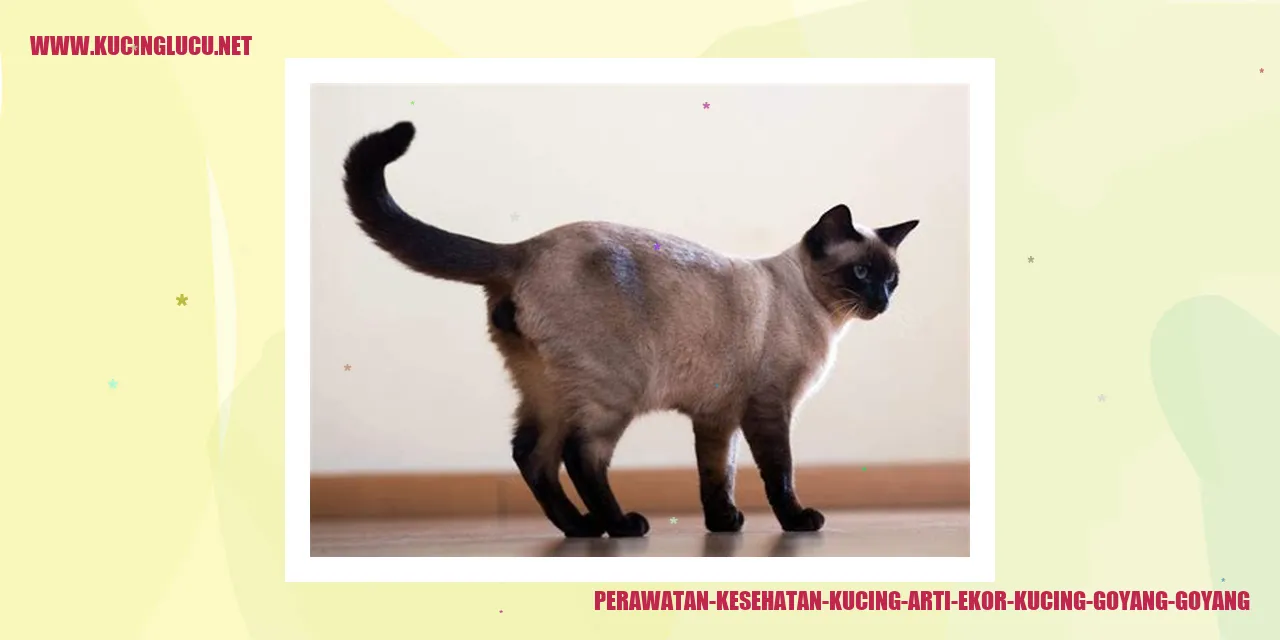 Gambar Kucing yang Menggemaskan