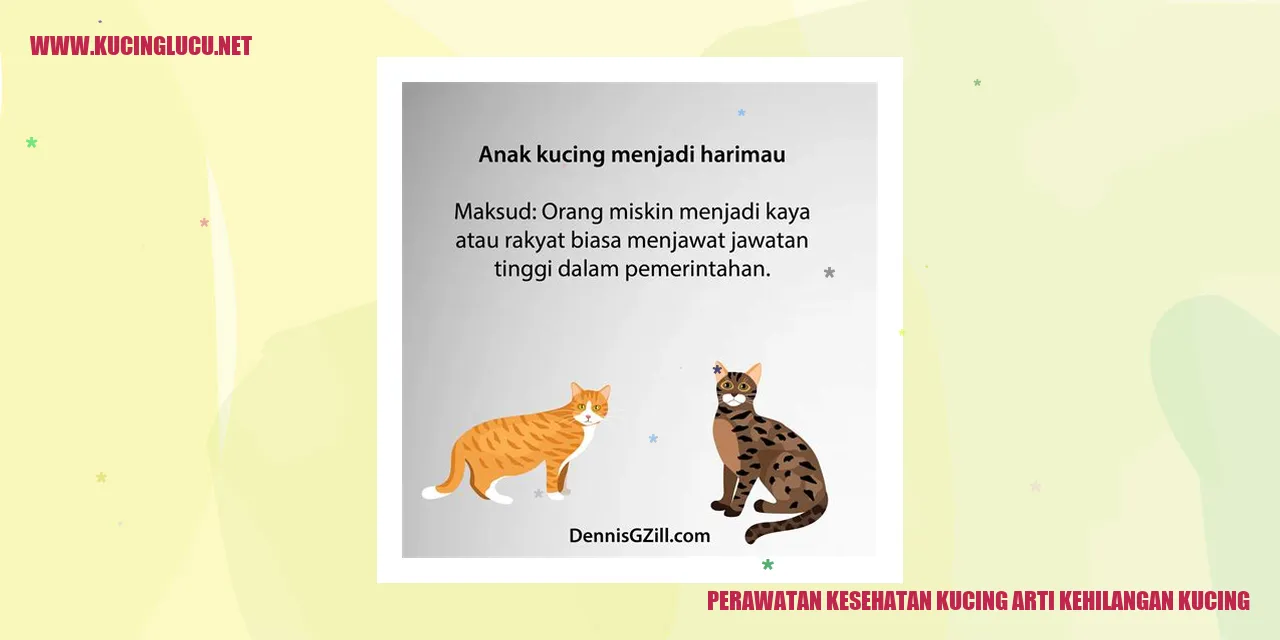 Perawatan Kesehatan Kucing