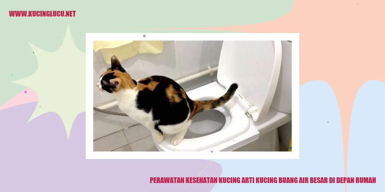 Perawatan Kesehatan Kucing