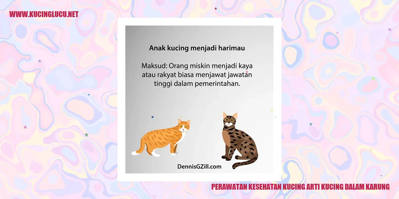 Perawatan Kesehatan Kucing arti kucing dalam karung