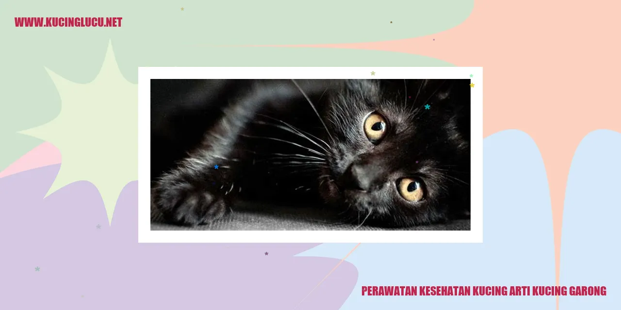 Perawatan Kesehatan Kucing Arti Kucing Garong